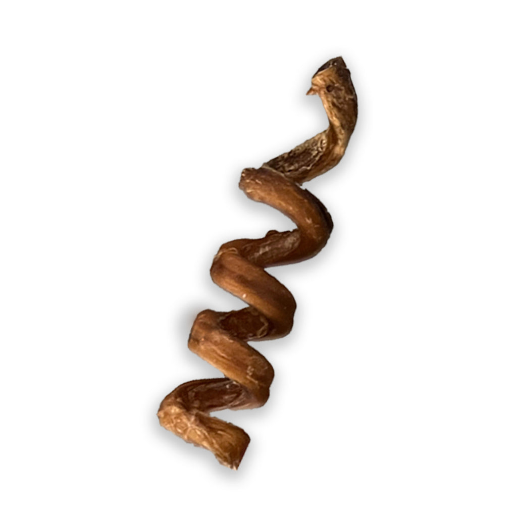 6" Bully Stick Springs for Dogs - Fun Challenging Single Ingredient Chew Dog Treats - Fully Digestible Pizzle Sticks
