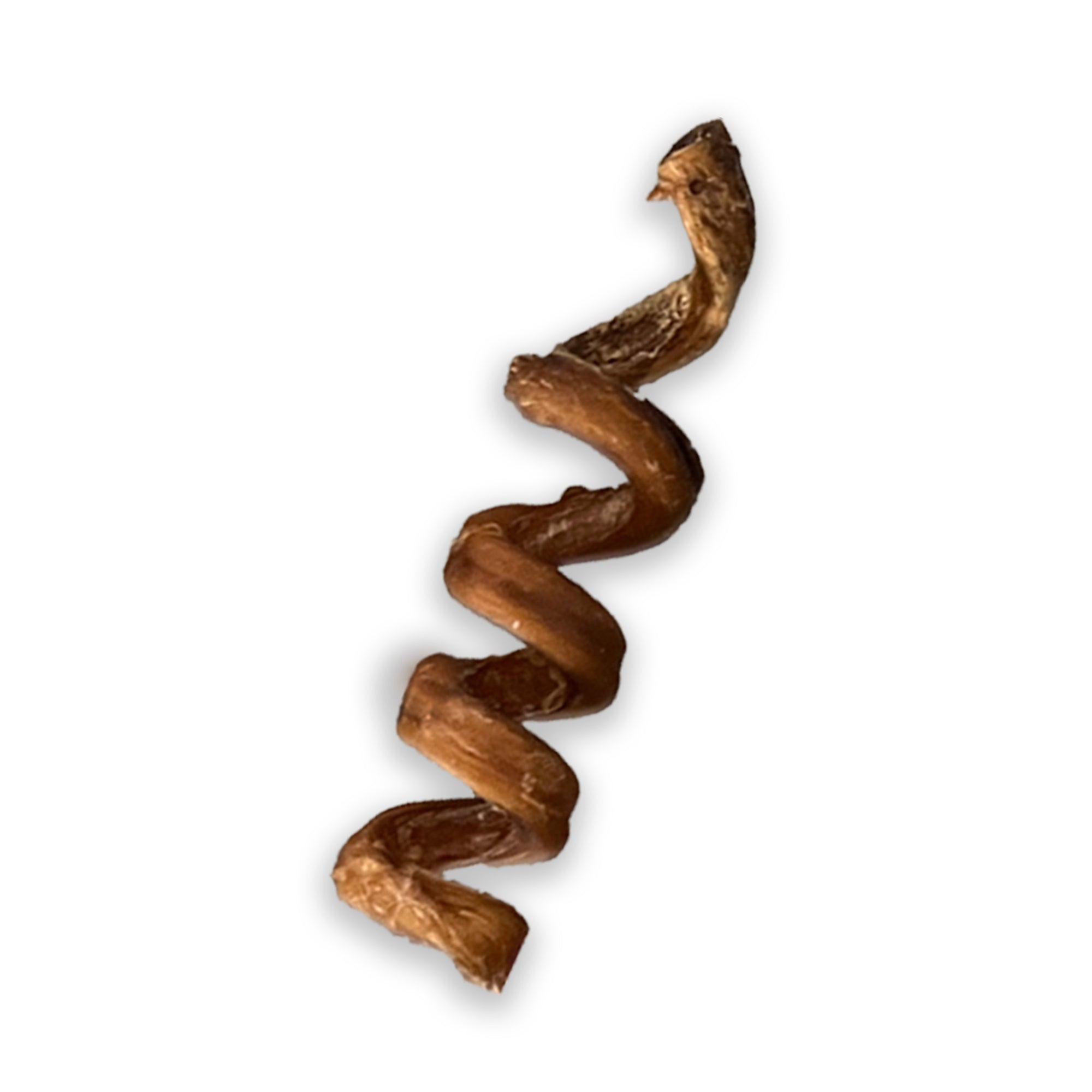 6" Bully Stick Springs for Dogs - Fun Challenging Single Ingredient Chew Dog Treats - Fully Digestible Pizzle Sticks