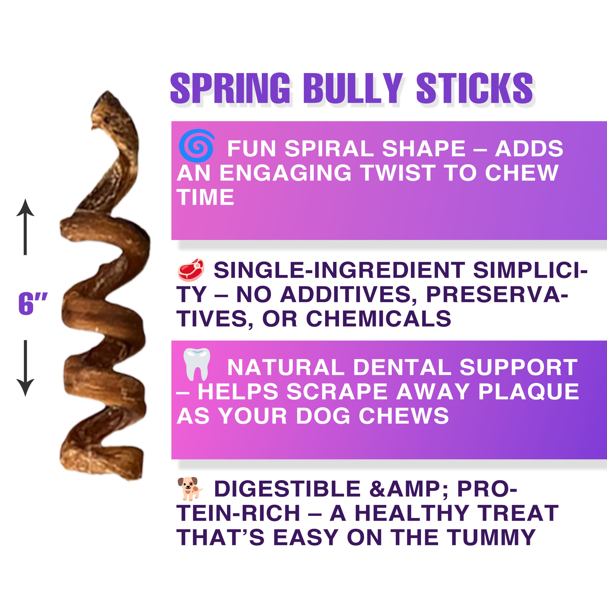 Spring Bully Sticks for Dogs – Twisted for Taste, Designed to Last