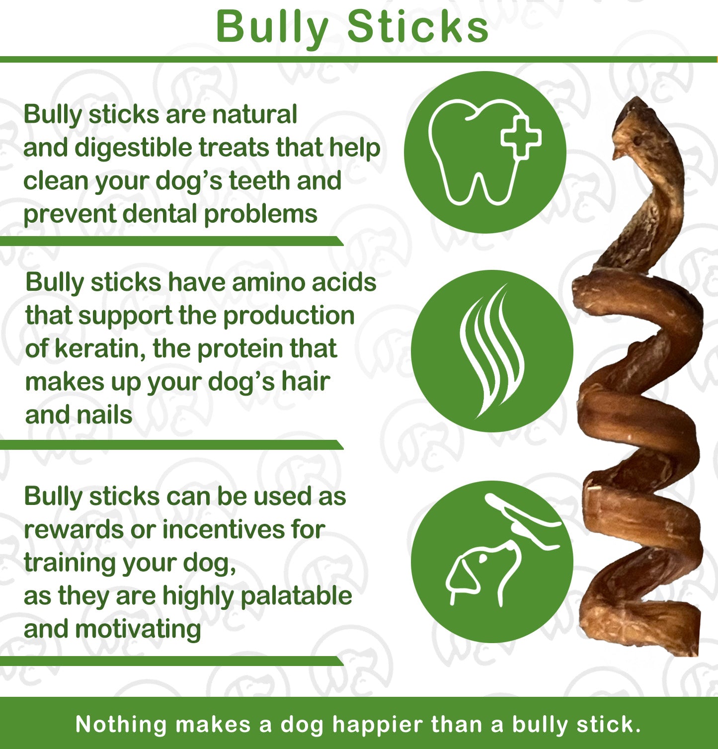 6" Bully Stick Springs for Dogs - Fun Challenging Single Ingredient Chew Dog Treats - Fully Digestible Pizzle Sticks