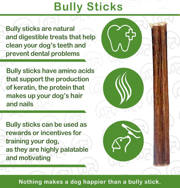 Bully Sticks for Dogs | Natural Long Lasting Pizzle Sticks | Single Ingredient Beef Pizzle | Dog Treats for Aggressive Chewers | 6-Inch Standard Thickness (Pack of 10 - Approximately 7 oz)